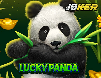 Lucky Panda