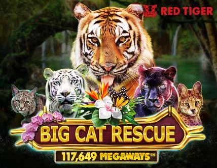 Big Cat Rescue MegaWays