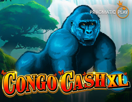 Congo Cash XL
