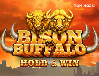 Bison vs Buffalo